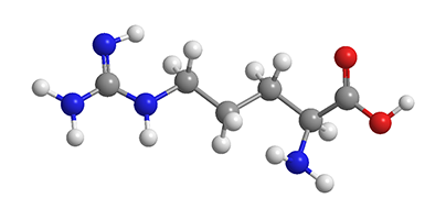 Az L-Arginin: A Sokoldalú Aminosav